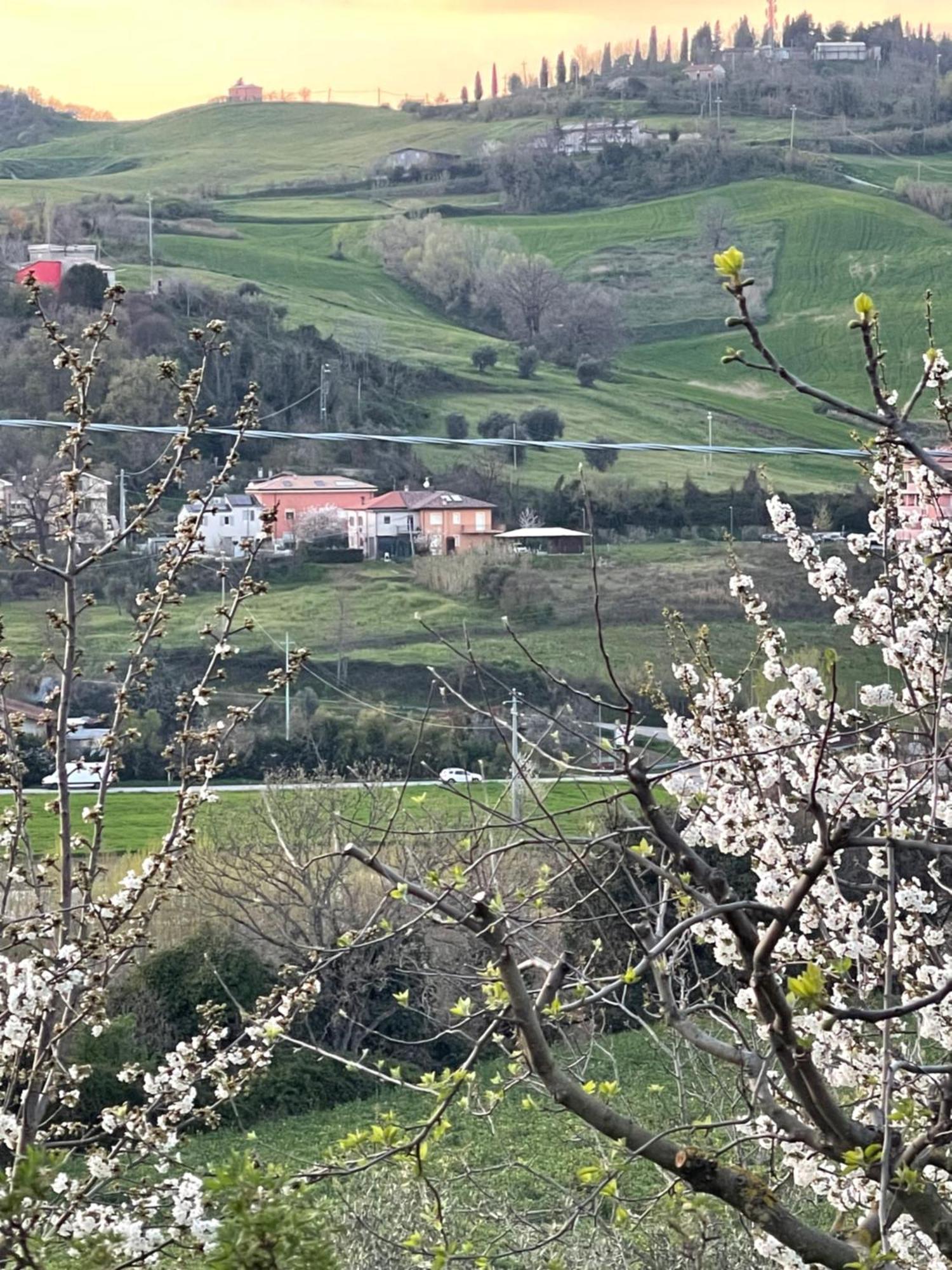 Agriturismo Ca' Maggio Sasso Feltrio エクステリア 写真